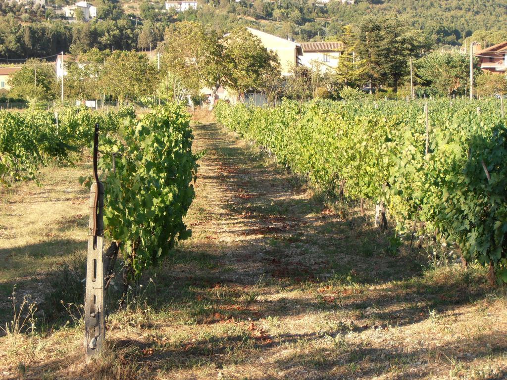Agriturismo Ponte Di Riocchio Gubbio Exterior foto